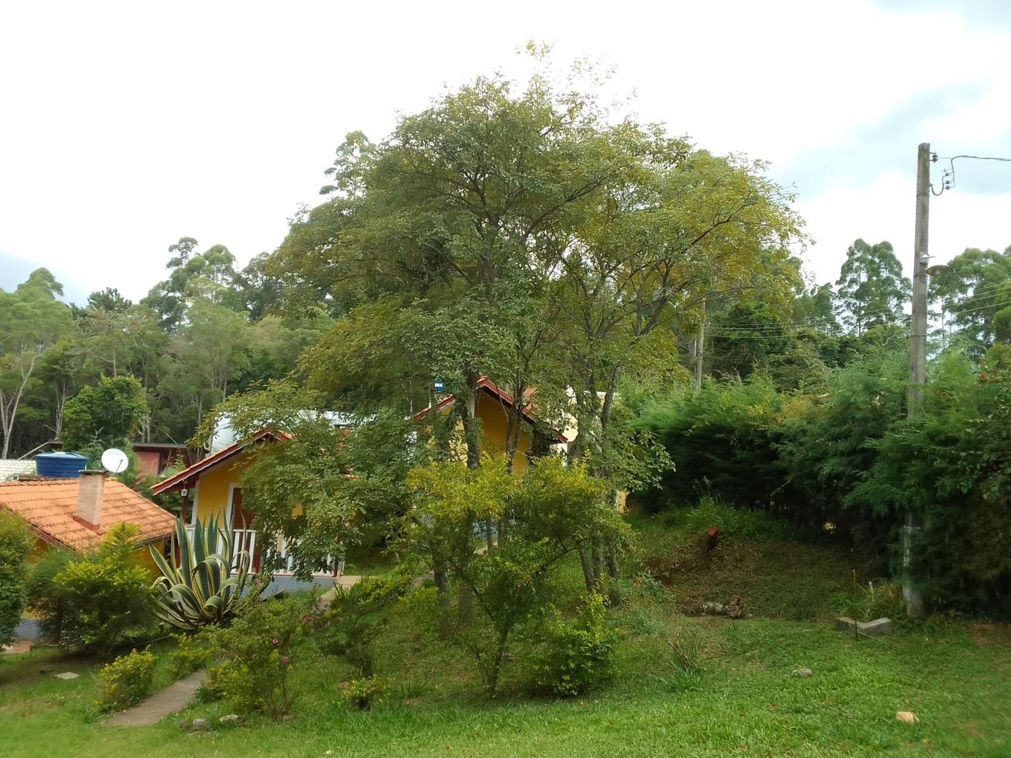 Chales Canto Dos Passaros Monte Verde  Eksteriør billede